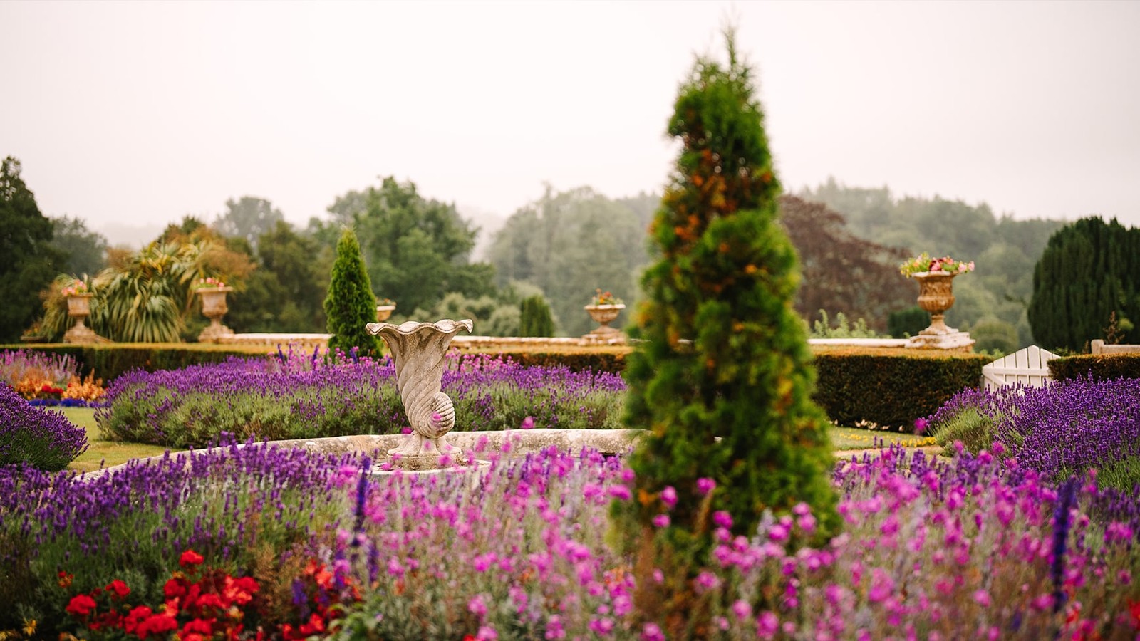 Wander through the vibrant gardens where bursts of colour meet intriguing sculptures, and every path reveals a new corner of natural beauty to discover.