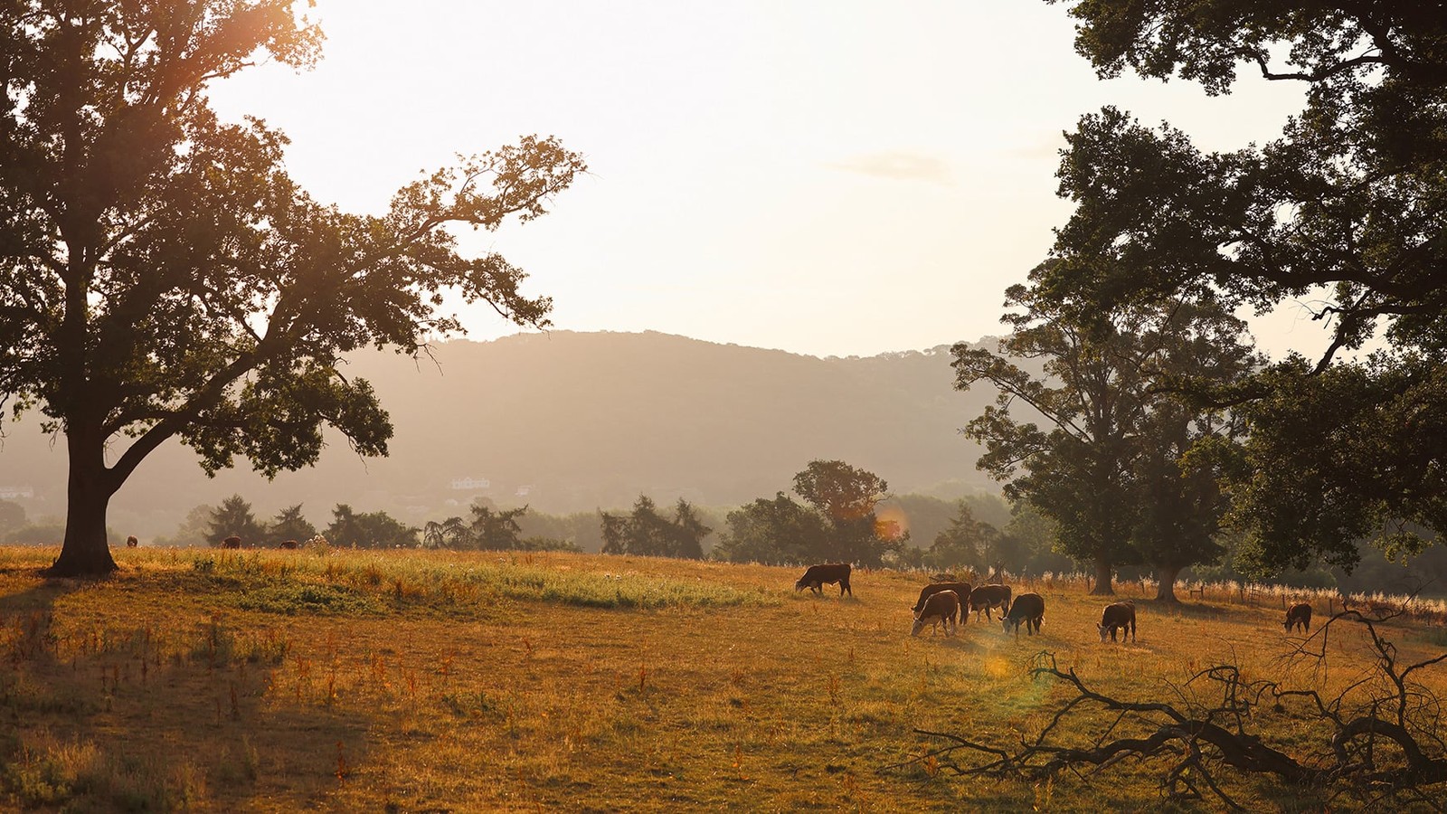 As the sun sets, casting a golden glow over the Herefordshire countryside, a magical atmosphere surrounds you - sit back, relax, and let our team take care of everything.