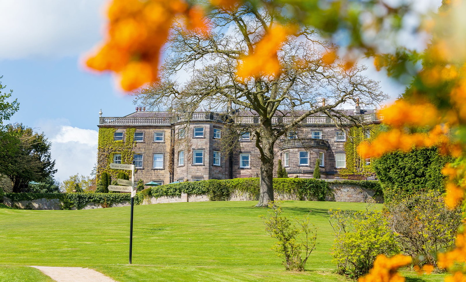 Bright bursts of colour frame Nidd Hall beautifully, making every stroll through the gardens feel like a scene from a storybook.