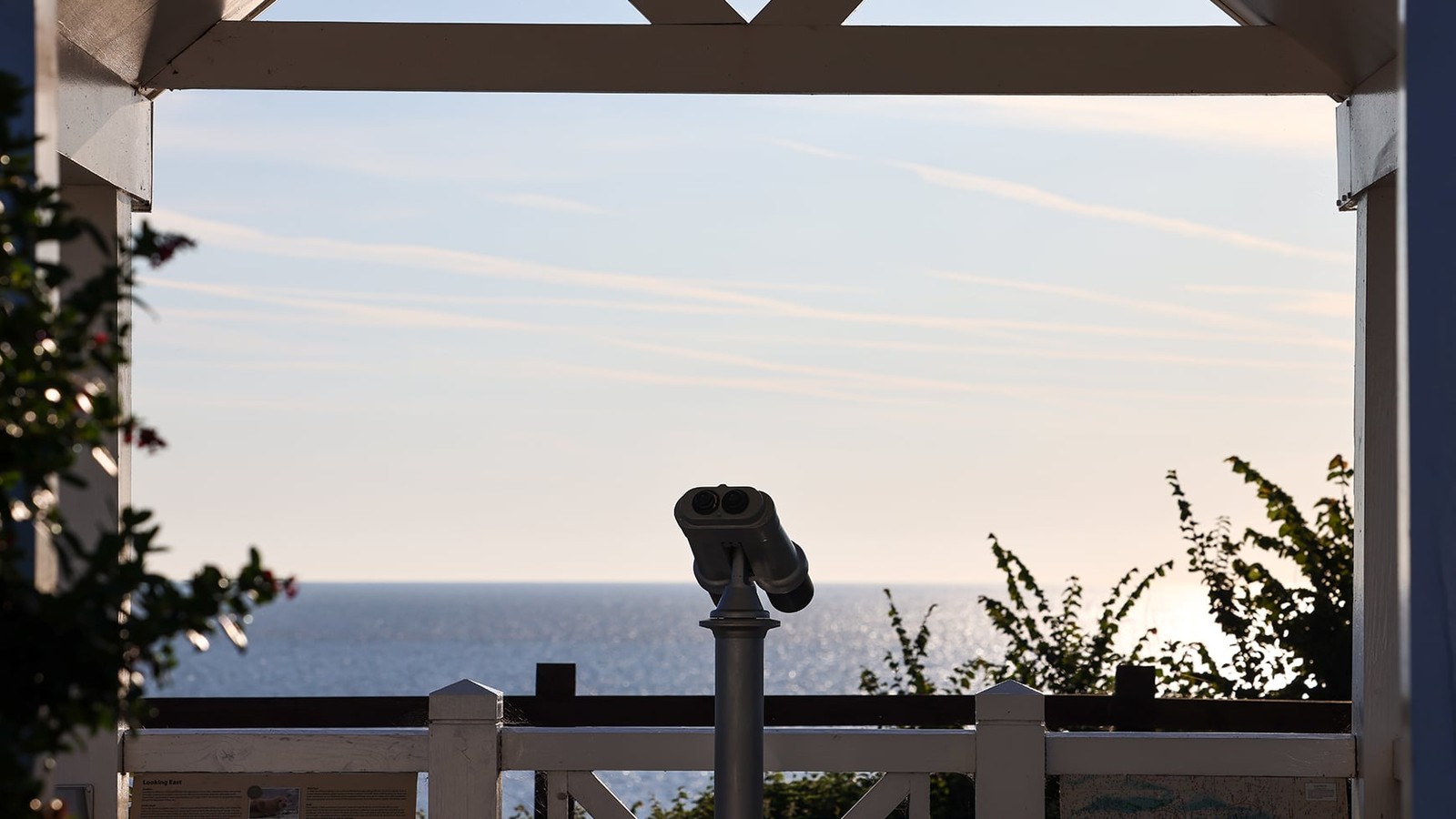 Find our viewing hut, take a look through the binoculars, and see what wonders you can spot out at sea.