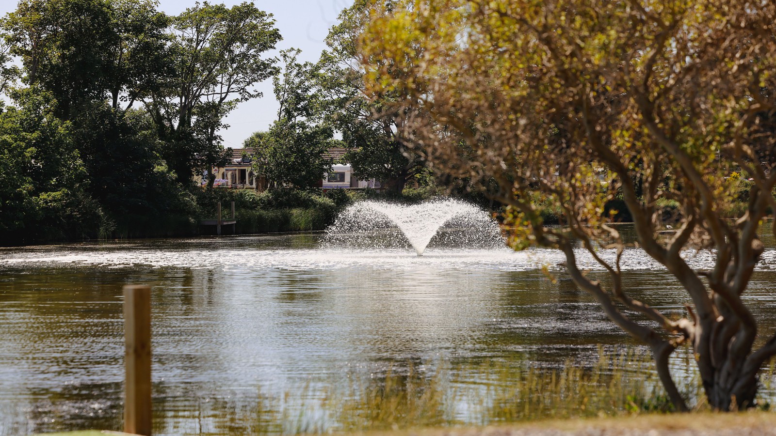 Nestled among vibrant trees, you’ll discover a lake with a beautiful water fountain, adding to the serene atmosphere and offering the perfect moment to pause and enjoy nature.