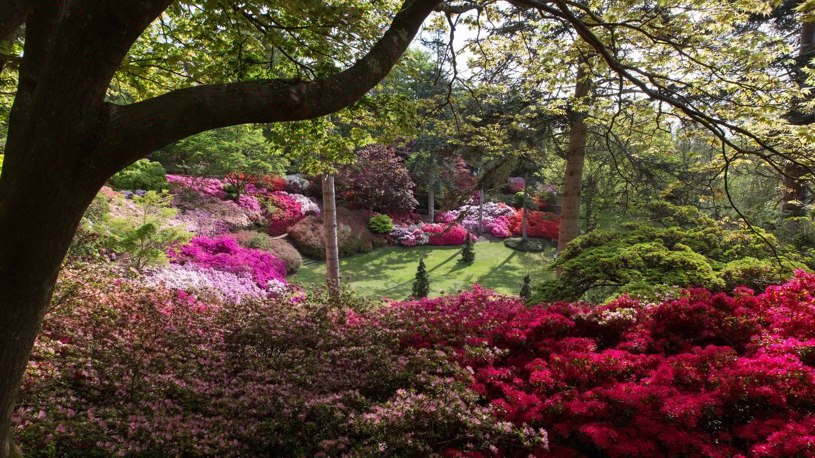 Take in sweeping views from The Punch Bowl in Windsor Great Park. Afterwards, returning to the peaceful riverside feels all the more rewarding.