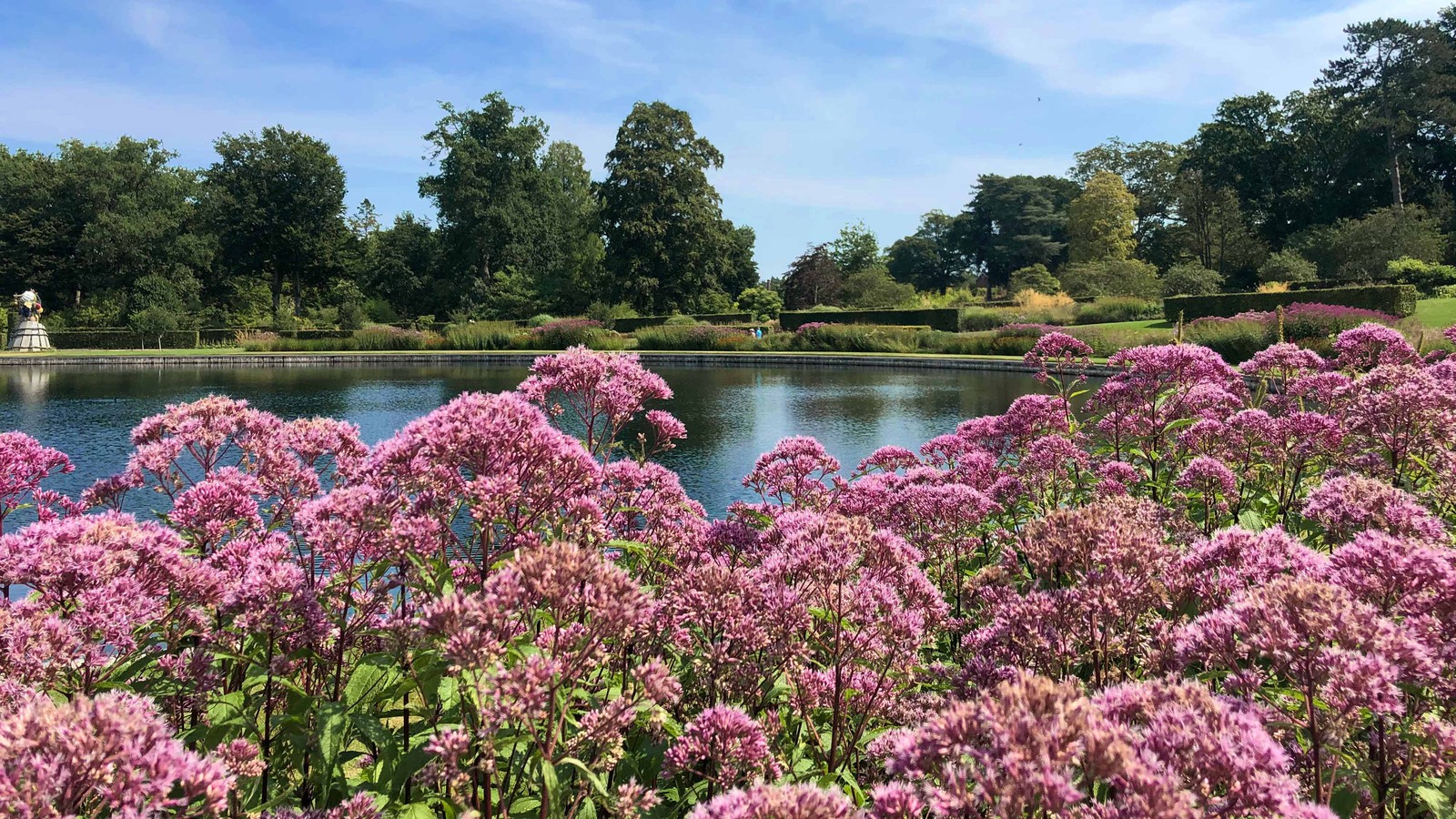 RHS Garden Wisley is one of the UK’s most celebrated gardens, and just a short drive away. A beautiful day out before returning to the comfort of the hotel.