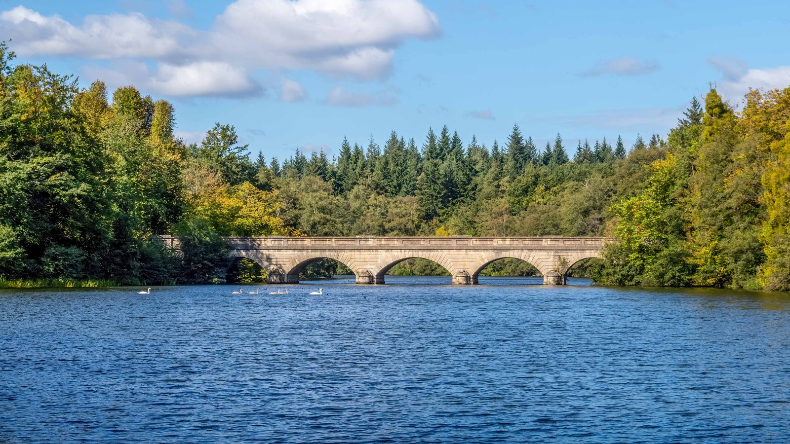 A short journey away, Virginia Water Lake offers scenic lakeside walks through Windsor Great Park. Perfect for a gentle morning out before returning to the hotel.