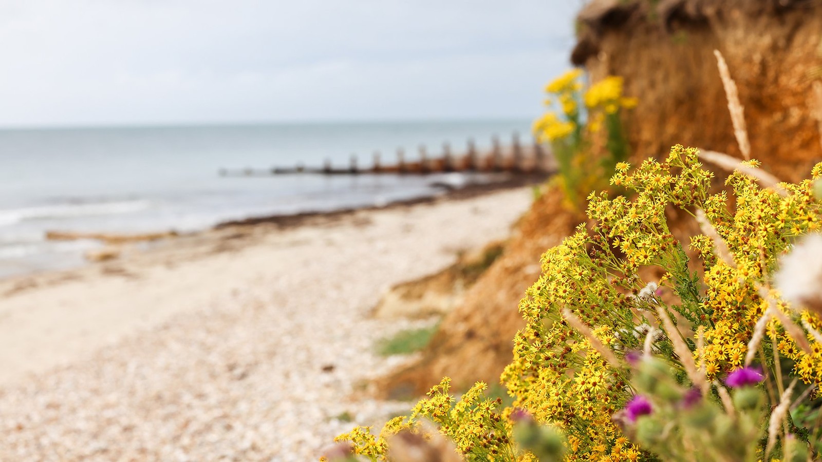 There’s nothing quite like the sound of waves meeting the shore and the fresh sea breeze on your face - take a stroll and soak up the scenery.