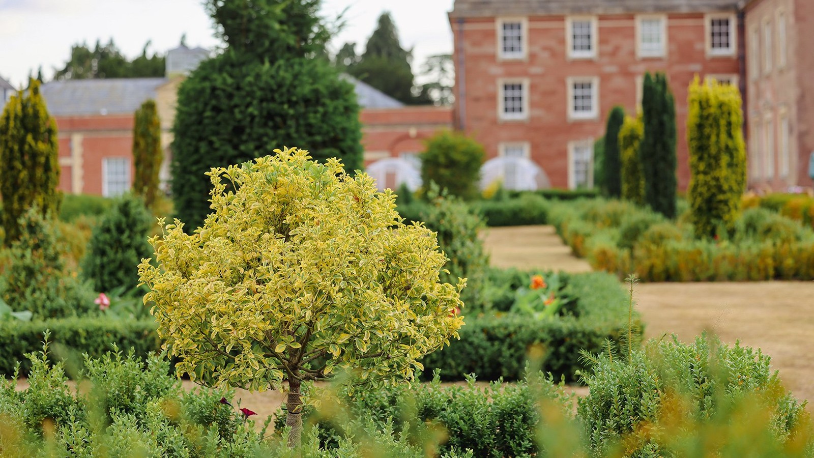 Take a stroll and take advantage of the therapeutic sights, sounds and scents of the glorious Herefordshire countryside.