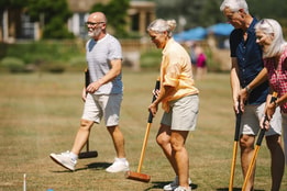 Croquet at Cricket St. Thomas
