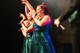 Warner Theatre Company on stage performing a festive show