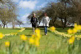 Two women strolling along a path lined with blooming daffodils in a sunny park, with trees and blue skies in the background at a Warner Hotel.