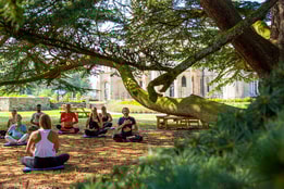 Group of people meditating in yoga session