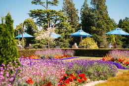A vibrant garden with colorful flowers and blue umbrellas providing shade to guests seated at outdoor tables on a sunny day.