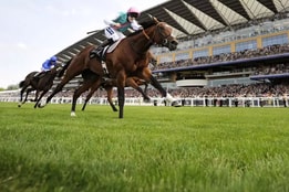 Two jockeys on horseback racing on the Ascot Racecourse