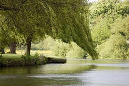 The Runnymede Pleasure Grounds