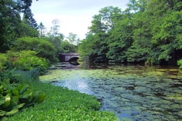 A scenic view within The Savill Garden
