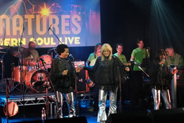 The Signatures Northern Soul Live