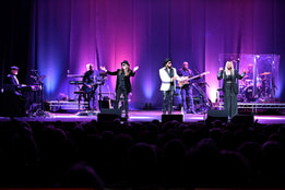 The George Michael Singers