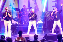 The Magic Of The Bee Gees