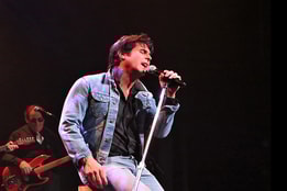 Whole Lotta Shakin the Shakin' Stevens Story