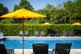 Outdoor pool surrounded by shrubs and featuring deck chairs and yellow parasols