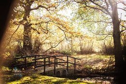 The beautiful lake at Gunton Hall