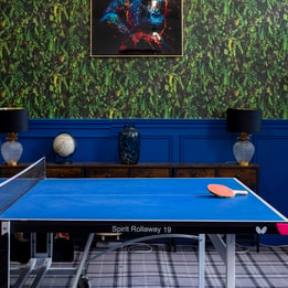 Table tennis table with a table tennis bat placed on top