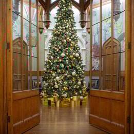 The Christmas Tree at Studley Castle Hotel