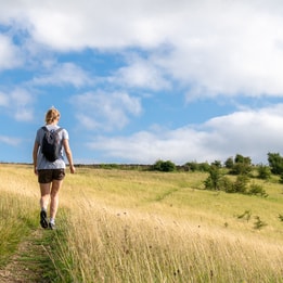 Explore the beautiful landscape at Warner Hotels while walking on a trail in a grassy field.