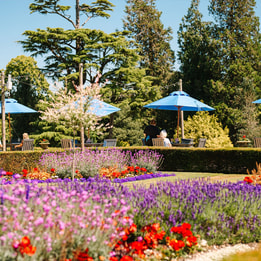 A vibrant garden with colorful flowers and blue umbrellas providing shade to guests seated at outdoor tables on a sunny day.
