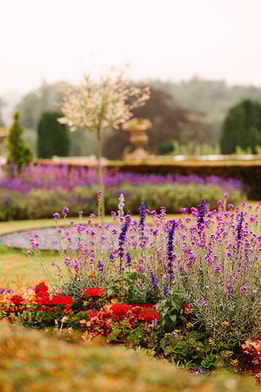 The grounds at Cricket St. Thomas
