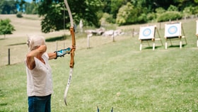 Archery at Cricket St. Thomas