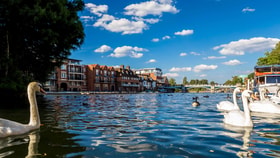 Windsor town