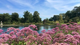 RHS Garden Wisley