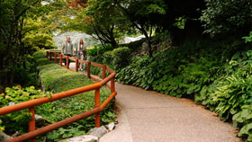 Grounds at Cricket St. Thomas