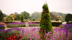 The gardens in bloom at Cricket St Thomas