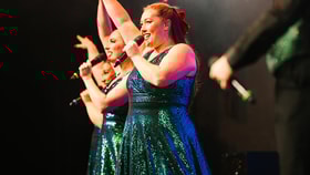 Warner Theatre Company on stage performing a festive show