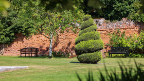 Garden on the grounds of Gunton Hall featuring a topiary tree and a bench in front of a red brick wall