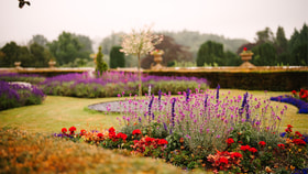 The grounds at Cricket St. Thomas