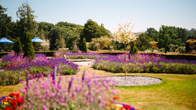 Grounds at Cricket St. Thomas