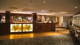 Late lounge bar with wooden interiors, illuminated counters and seating area.