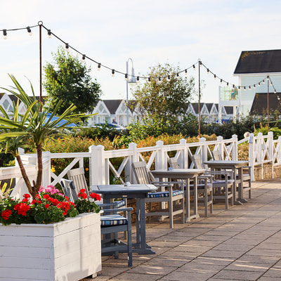 Some chairs and tables surrounded by some large potted plants and fairy lights above