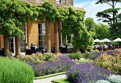Guests sat on the terrace at Cricket St. Thomas enjoying a relaxed break surrounding by greenery