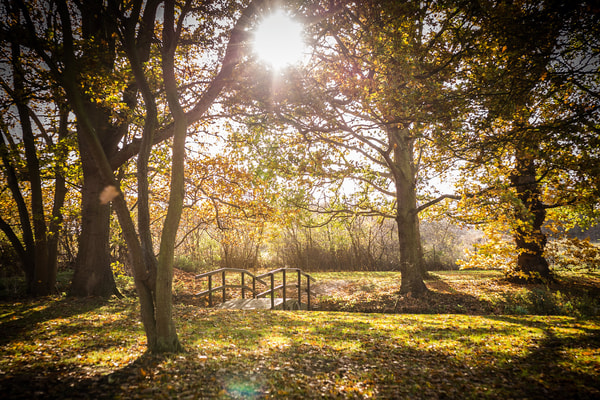 Take in the peaceful beauty of the lake at Gunton Hall, surrounded by tall trees and, when the sun sets, bathed in golden sunshine.