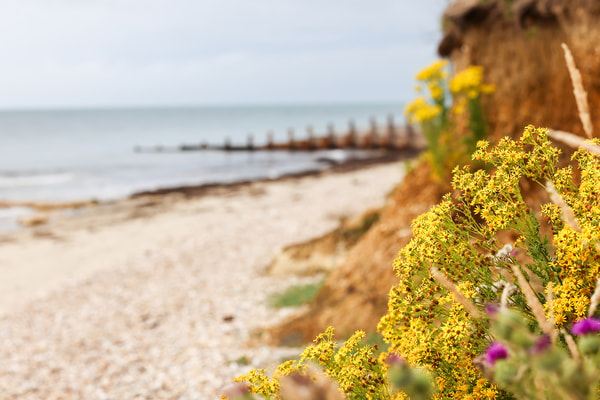 There’s nothing quite like the sound of waves meeting the shore and the fresh sea breeze on your face - take a stroll and soak up the scenery.