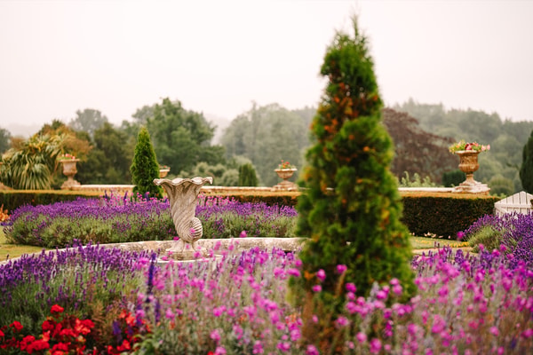 Wander through the vibrant gardens where bursts of colour meet intriguing sculptures, and every path reveals a new corner of natural beauty to discover.