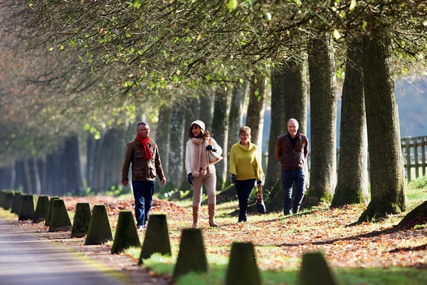 Blow away the cobwebs with a refreshing winter walk and make the most of those peaceful days between Christmas and New Year.