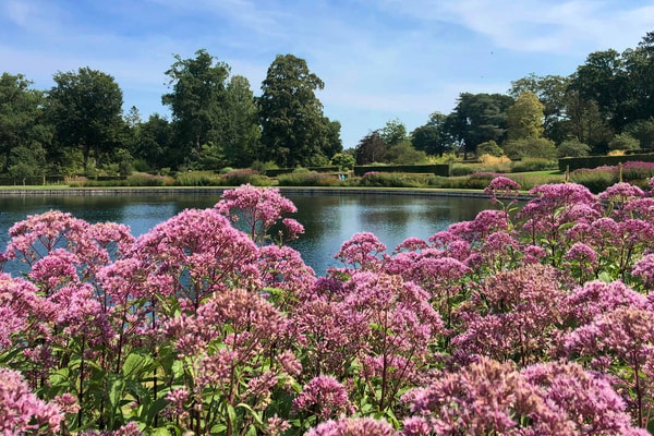 RHS Garden Wisley is one of the UK’s most celebrated gardens, and just a short drive away. A beautiful day out before returning to the comfort of the hotel.