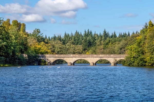 A short journey away, Virginia Water Lake offers scenic lakeside walks through Windsor Great Park. Perfect for a gentle morning out before returning to the hotel.