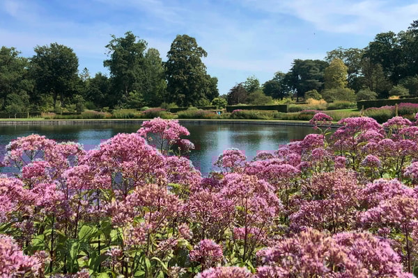 RHS Garden Wisley is one of the UK’s most celebrated gardens, and just a short drive away. A beautiful day out before returning to the comfort of the hotel.