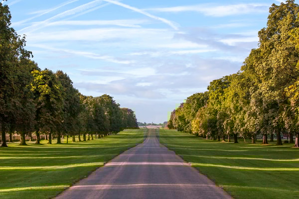 Stretch your legs along The Long Walk, the famous tree-lined avenue leading towards Windsor Castle. A timeless landscape just a short journey away.