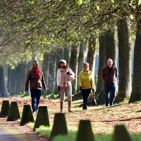 Blow away the cobwebs with a refreshing winter walk and make the most of those peaceful days between Christmas and New Year.